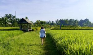 Read more about the article Ultimate Bali Travel Guide 2025 for first time visitor!
