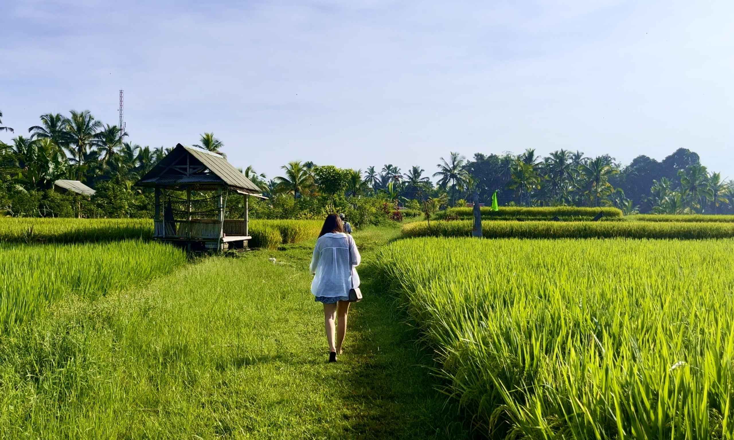 Read more about the article Ultimate Bali Travel Guide 2025 for first time visitor!