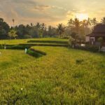 Unveiling the Spiritual Heart of Ubud, Bali: A magical Experience