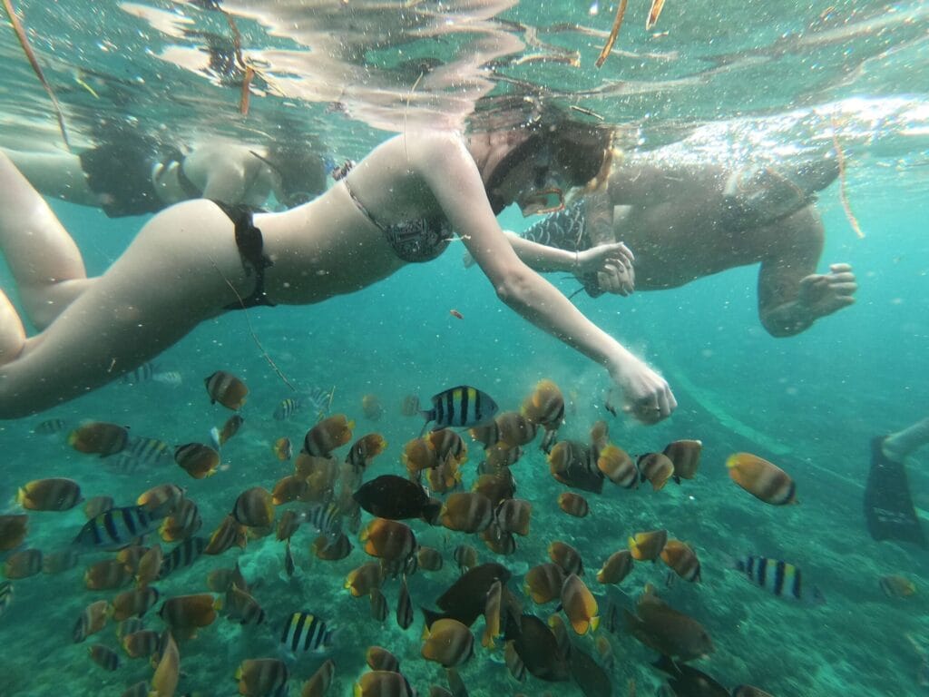 Mario and Ellis snorkeling in Gili T and looking at a lot of fish
