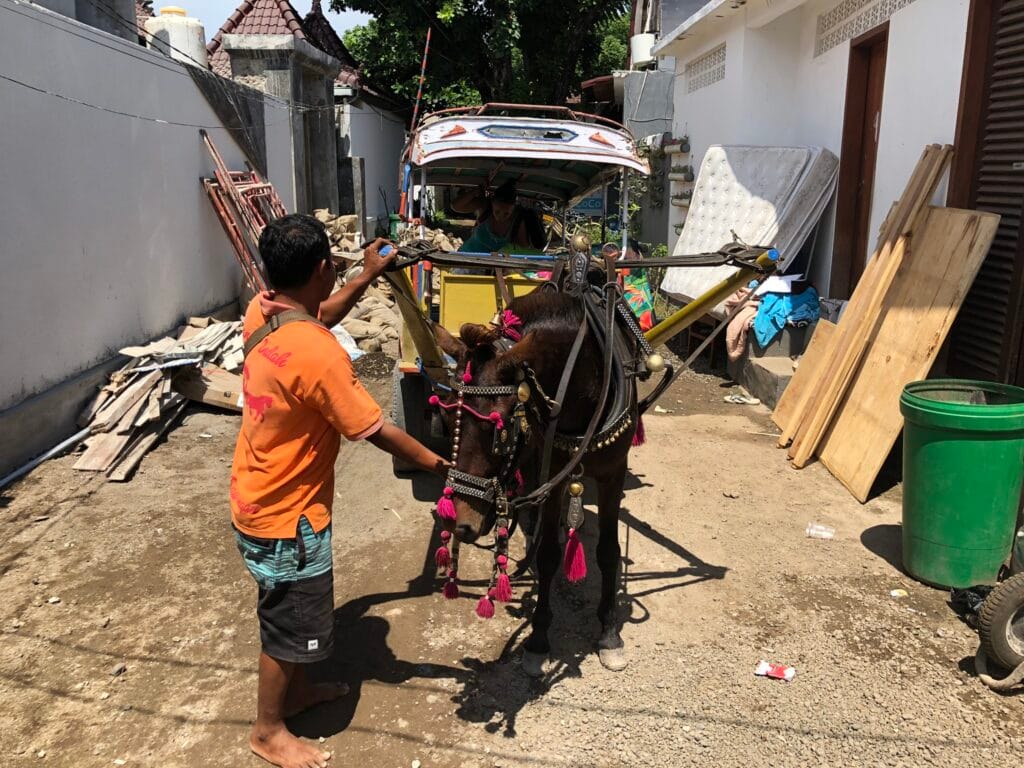 horse carage in gili island