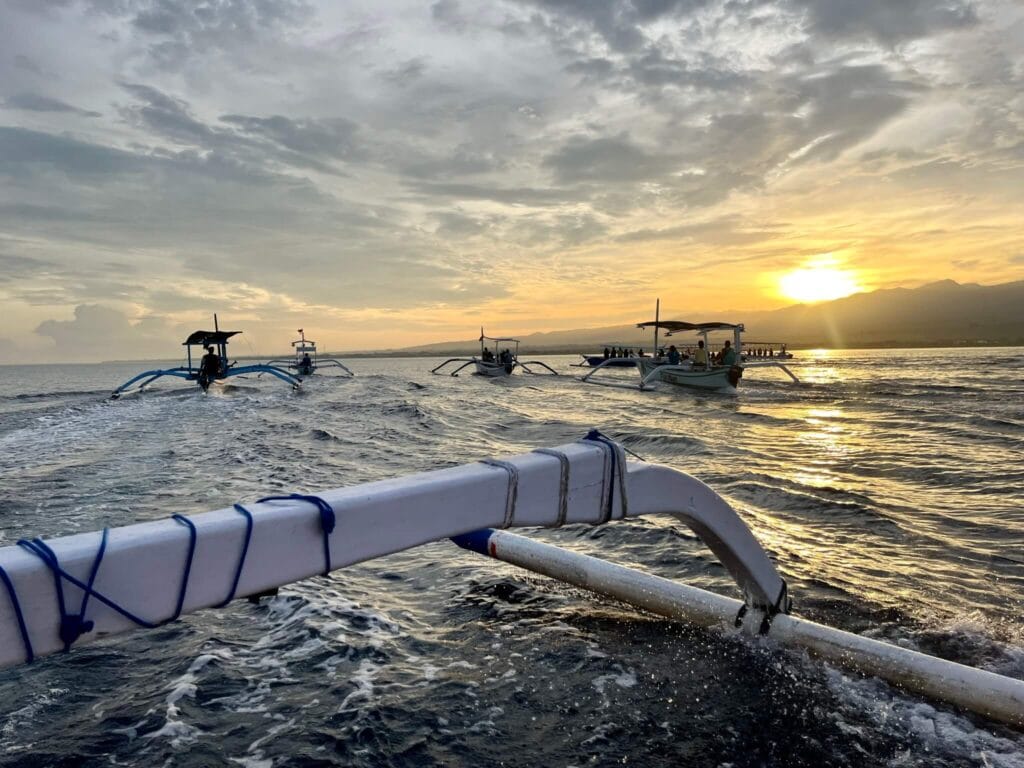 Traditional outrigger boats on a dolphin watching sunrise tour in Lovina, North Bali