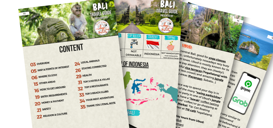 Bali Travel Guide Preview Pages 1